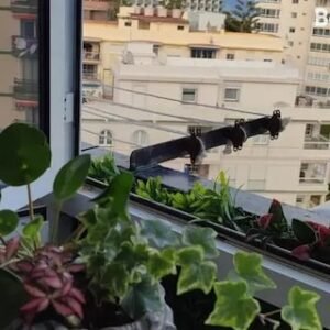 Apartamentos Budha : Casa Zoe